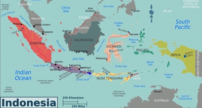 Indonesien sogar aus dem Verbot, wie viel Auswirkungen auf China